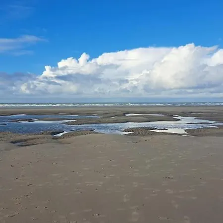 Le Metz, Duplex, 2 *