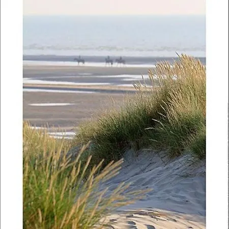 Le Metz, Duplex, 2 *