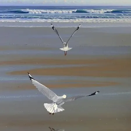 アパート Le Metz, Duplex, 2 *